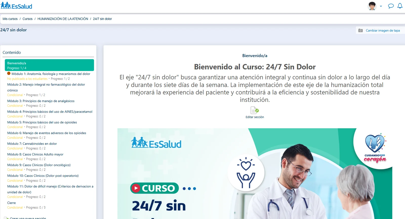 Vista real del contenido de un curso virtual de EsSalud